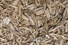biomass boilers Direcleit