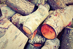 Direcleit wood burning boiler costs